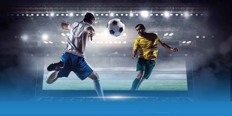 Bỏ túi mẹo hay từ cao thủ giúp chinh phục các ván cược tại MMOO