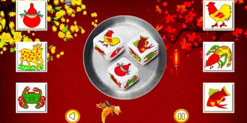 Đôi nét về xác suất trong bầu cua