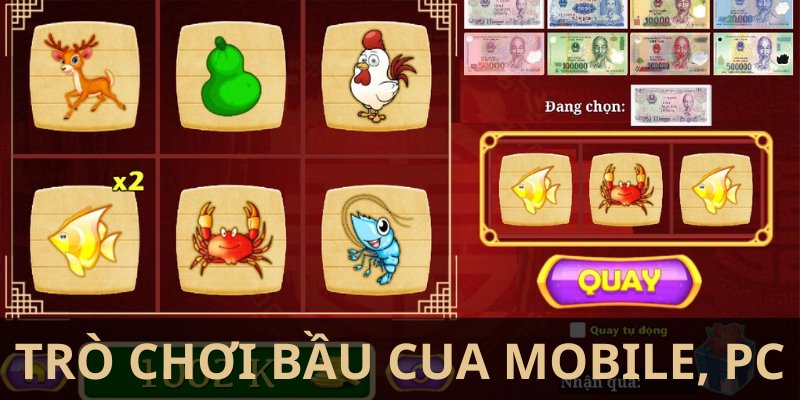 Một góc nhìn hấp dẫn về bầu tôm cua cá